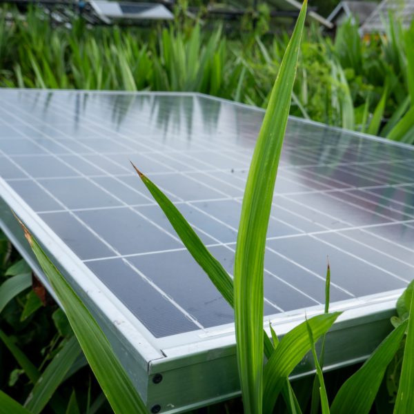 Solar cell panels